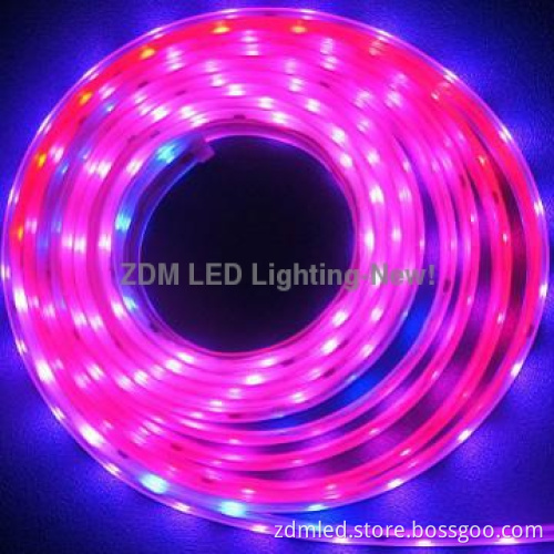 3528&5050 battery powered tape led light
